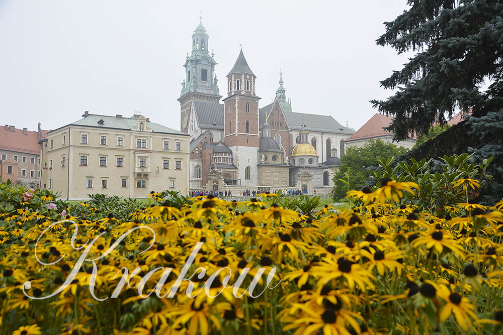 krakow-cover