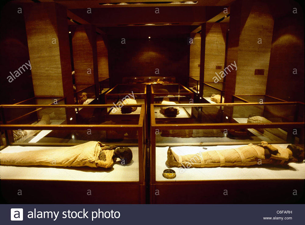 the-royal-mummy-room-at-the-egyptian-museum-C6FARH.jpg